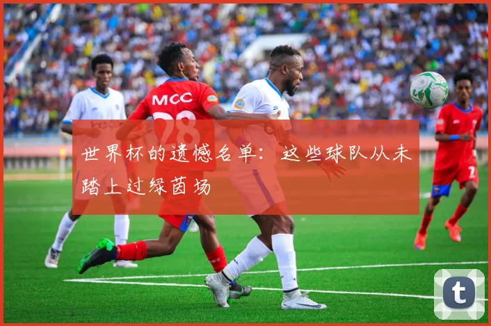 世界杯的遗憾名单：这些球队从未踏上过绿茵场