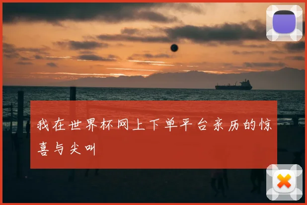 我在世界杯网上下单平台亲历的惊喜与尖叫