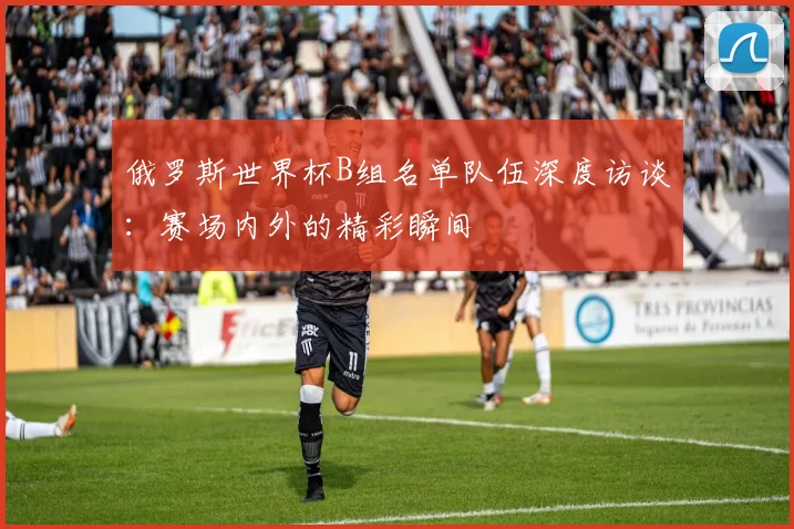 俄罗斯世界杯B组名单队伍深度访谈:赛场内外的精彩瞬间