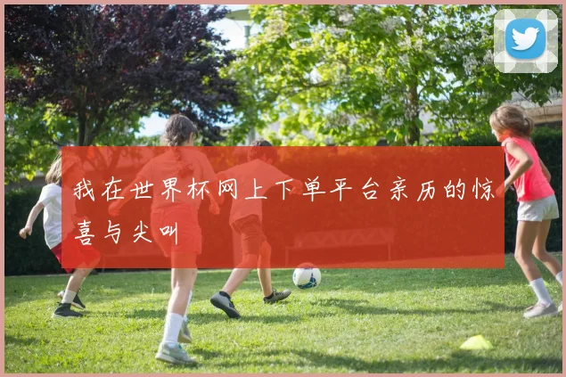 我在世界杯网上下单平台亲历的惊喜与尖叫