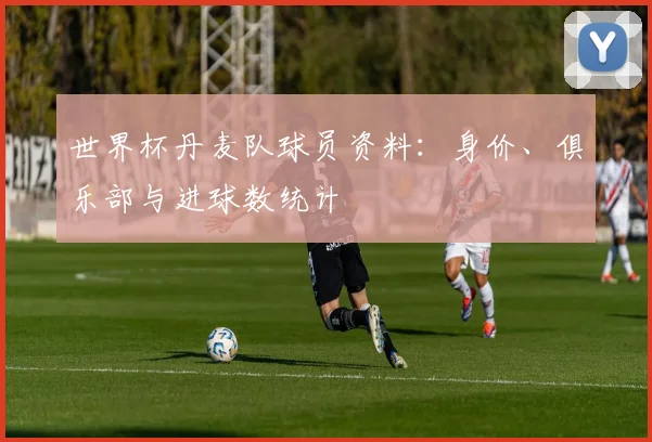 世界杯丹麦队球员资料：身价、俱乐部与进球数统计