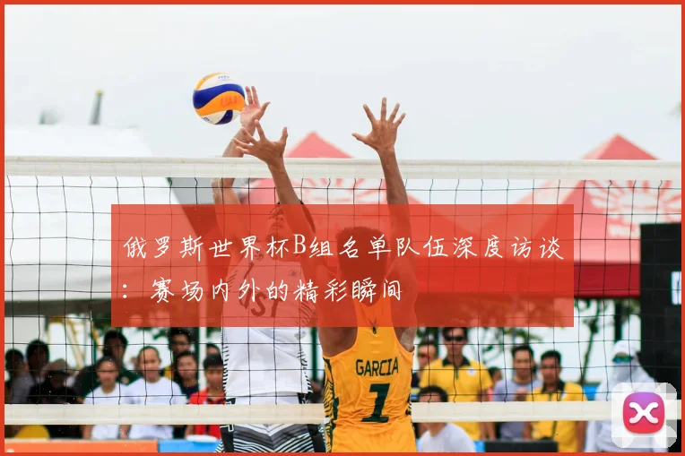 俄罗斯世界杯B组名单队伍深度访谈:赛场内外的精彩瞬间