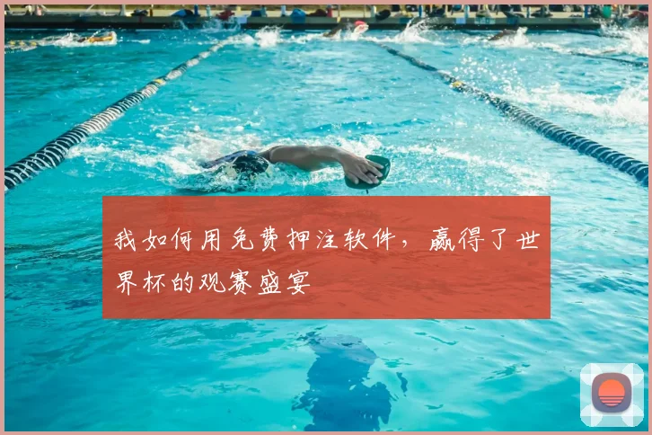 我如何用免费押注软件，赢得了世界杯的观赛盛宴