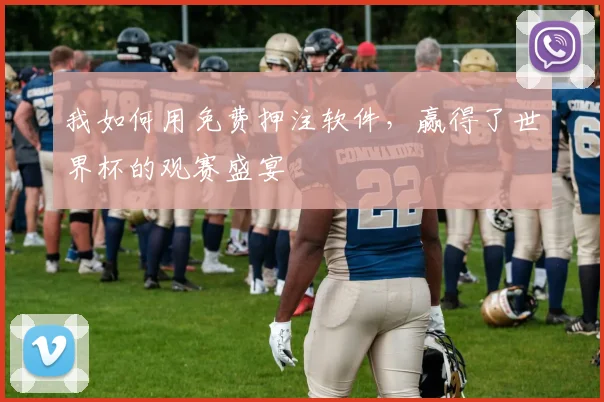 我如何用免费押注软件，赢得了世界杯的观赛盛宴