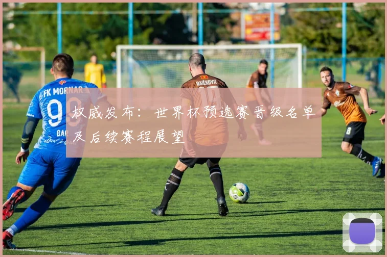 权威发布:世界杯预选赛晋级名单及后续赛程展望