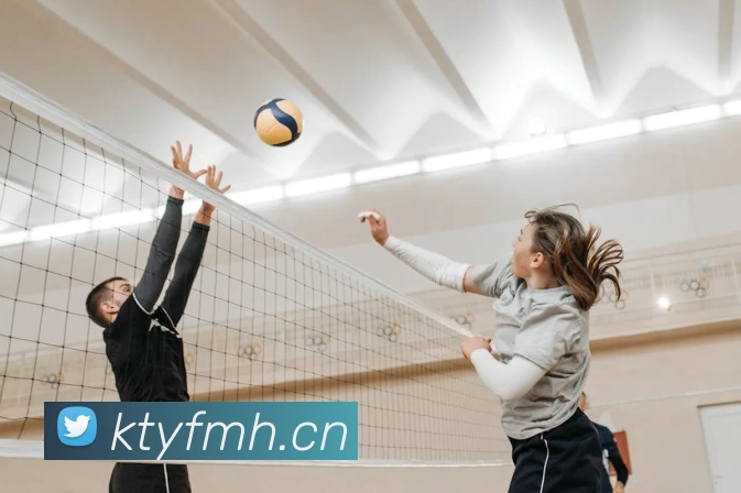 App Interface Preview